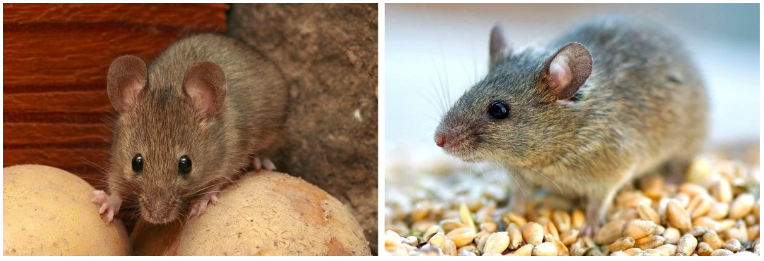 Snímka obrazovky 2025-07-10 o 11.51.15